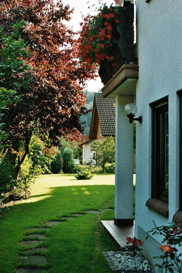 Ferienwohnungen Im Herzen Des Pfaelzerwaldes Elmstein Exterior photo