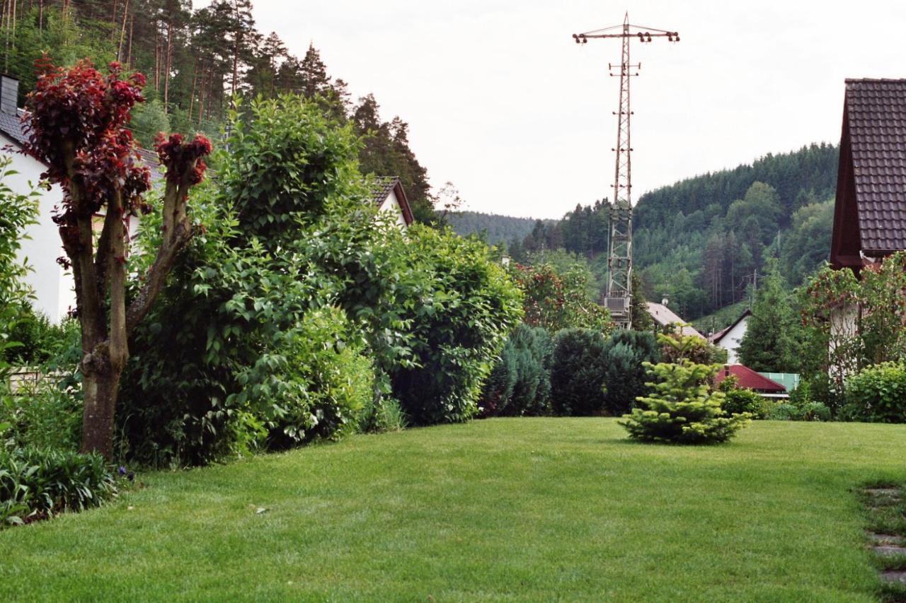 Ferienwohnungen Im Herzen Des Pfaelzerwaldes Elmstein Exterior photo