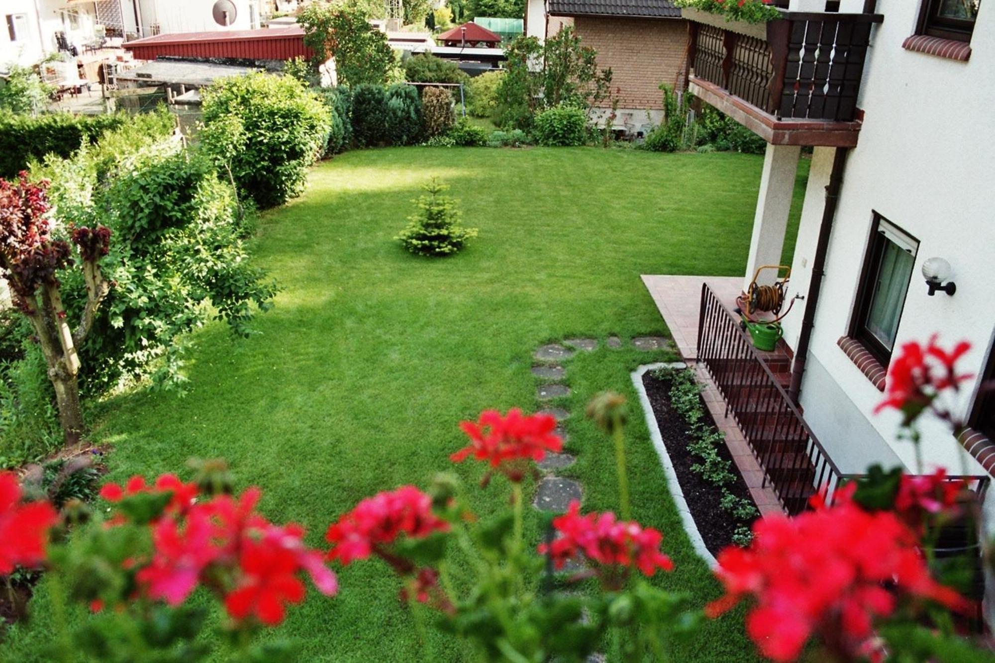 Ferienwohnungen Im Herzen Des Pfaelzerwaldes Elmstein Room photo